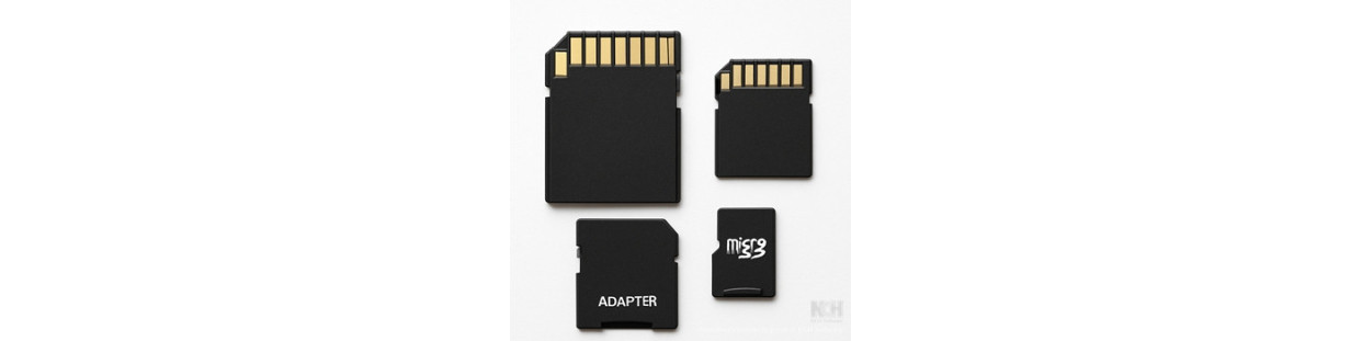 Schede di Memoria Secure Digital (SD)