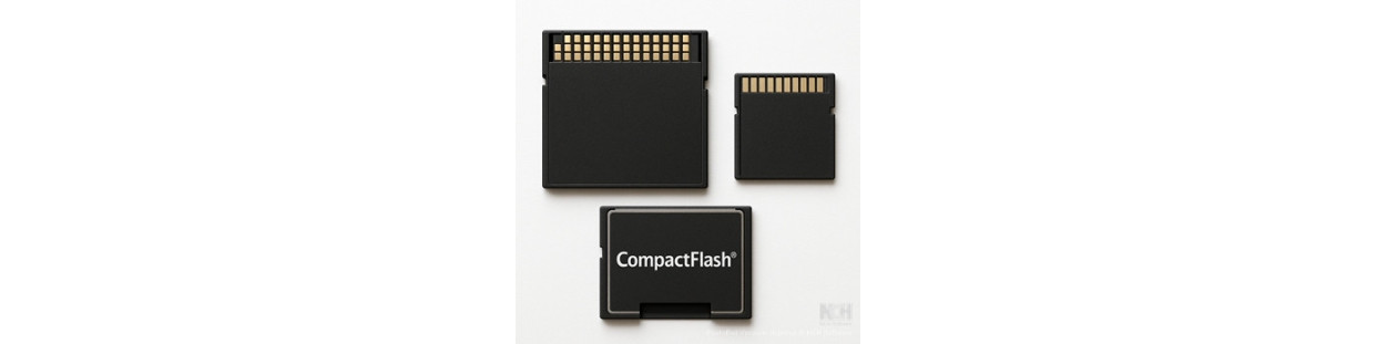 Schede di Memoria Compact Flash