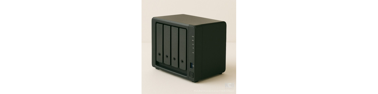 NAS (Network Attached Storage)