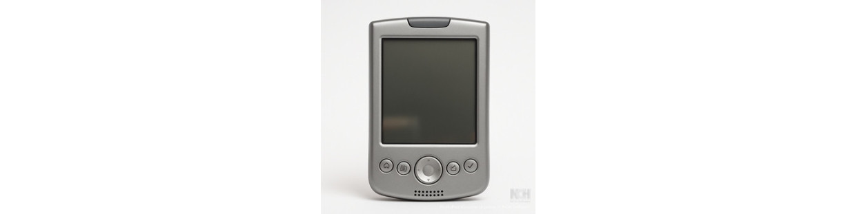 PDA (Palmari)